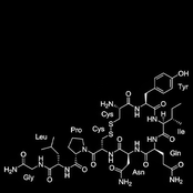 K8 rustbelt numetal 3