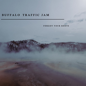 Buffalo Traffic Jam: Forgot Your Roots