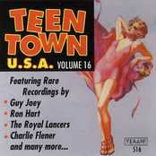 Teen Town USA, Volume 16