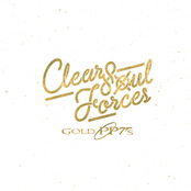 Clear Soul Forces: Gold PP7s