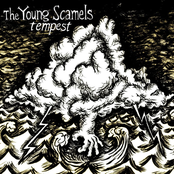 Twelve Year Since by The Young Scamels