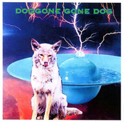 Doggone Gone Dog