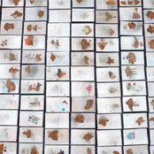 it's fucked up; it's a rainbow