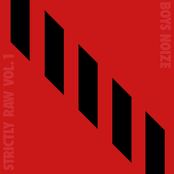 Boys Noize presents Strictly Raw Vol. 1
