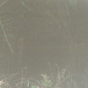 Tearing, sluggish behavior