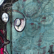 how to use web feat. tef