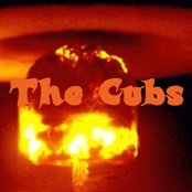 the cubs