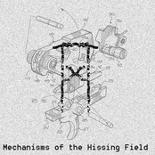Mechanisms of the Hissing Field