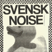 Svensk Noise