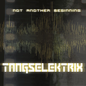 Not Another Beginning