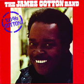 Boogie Thing by James Cotton