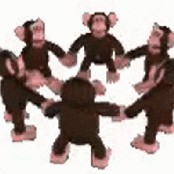 Monkeys Spinning Monkeys - Single