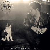 Miau Cat / Cielo Azul