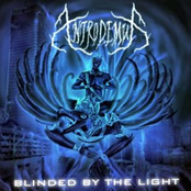 Martyr Of Light by Antrodemus