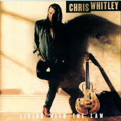 Make The Dirt Stick by Chris Whitley