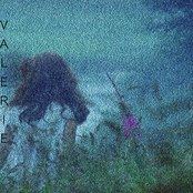 Valerie (For D.M.)