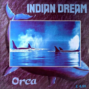Four Winds by Indian Dream