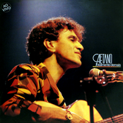 Totalmente Demais by Caetano Veloso