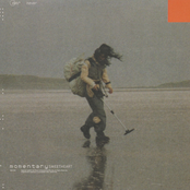 Deb Never: Momentary Sweetheart