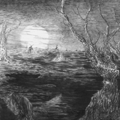 Swamp Witch - The Slithering Bog