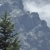 Integrating Worm Rushes