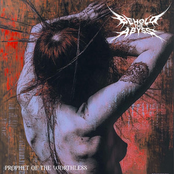 Prophet of the Worthless