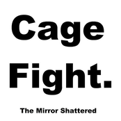 The Mirror Shattered