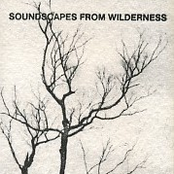 Soundscapes From Wilderness