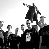 rotterdam ska-jazz foundation