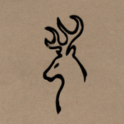 The Self-Destructive