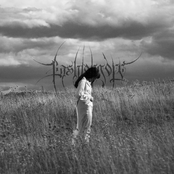 Heart Made of Ribbon