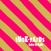 Sunlight by Tune-yards