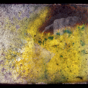 ca159 - Sabrina Siegel - hand/rock