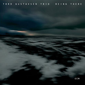 Tord Gustavsen Trio: Being There