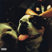 Kenny Mason – BULLDAWG