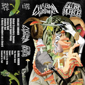 Split w/ Global Horror