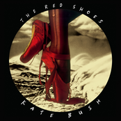 The Red Shoes Album Picture