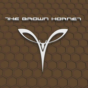 the brown hornet