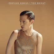 All Along by Perfume Genius