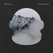 This World Has Bees x Still Mountains