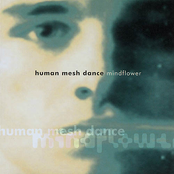 Giant Clouds by Human Mesh Dance