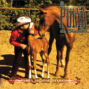 Puras De José Alfredo