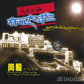 Potala Palace In the Moonlight