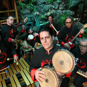 the tikiyaki orchestra