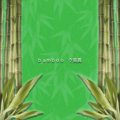 Bamboo