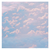 The Diary of Our Years Together