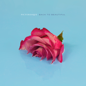 Picturesque: Back to Beautiful