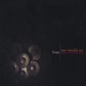 New Invisible Joy: Trust