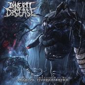 Maelstrom Of Vindictive Torment by Inherit Disease