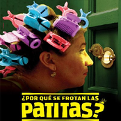 ¿Por Qué Se Frotan Las Patitas?